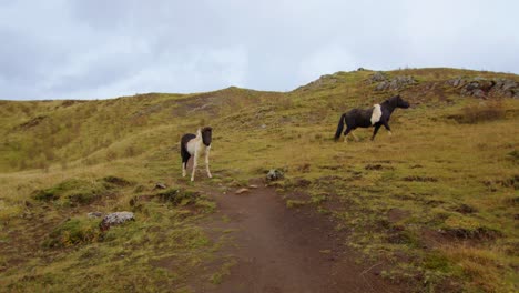 Una-Madre-Y-Un-Niño-Trotan-A-Caballo-Por-Un-Pasto-En-La-Verde-Islandia