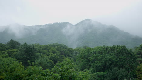 Berglandschaft-An-Einem-Regnerischen-Tag-Mit-Nebel-Und-Nebel-In-Südkorea-–-Schwenk-Nach-Rechts