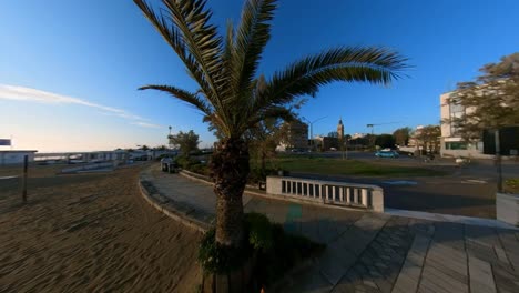Palms-Next-to-the-Beach-in-Rimini,-Italy
