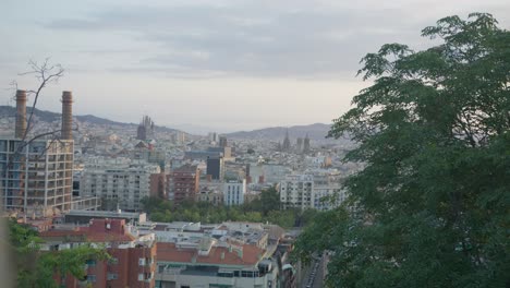 Hochauflösende-Nahaufnahme-Durch-Malerische-Bäume,-2.-Blickwinkel,-Skyline-Der-Stadt-Barcelona,-Spanien,-Mit-Goldenem-Sonnenaufgang-In-6K,-Während-Vögel-Fliegen