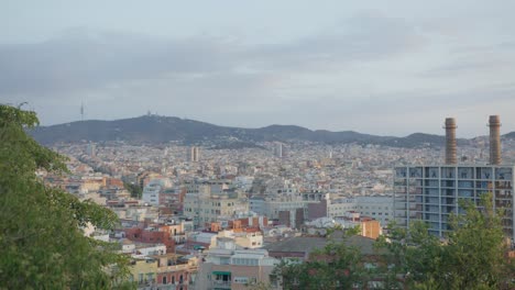 Hochauflösende-Ansicht-Von-Stadtgebäuden-Durch-Malerische-Bäume,-Die-Skyline-Der-Stadt-Barcelona,-Spanien,-Mit-Goldenem-Sonnenaufgang-In-6K,-Während-Vögel-Fliegen