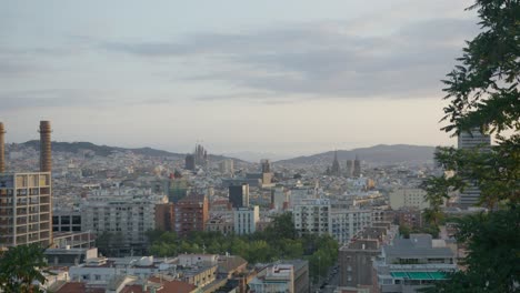 Hochauflösende-Ansicht-Durch-Malerische-Bäume,-3.-Winkel,-Skyline-Der-Stadt-Barcelona,-Spanien,-Mit-Goldenem-Sonnenaufgang-In-6K,-Während-Vögel-Fliegen
