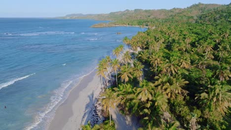 Playa-Rincon,-Weißer-Sandstrand-Und-Türkisfarbenes-Meerwasser-In-Der-Dominikanischen-Republik