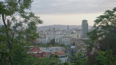 Hochauflösende-Ansicht-Durch-Dichte,-Malerische-Bäume,-Die-Skyline-Der-Stadt-Barcelona,-Spanien,-Mit-Goldenem-Sonnenaufgang-In-6K,-Während-Vögel-Fliegen