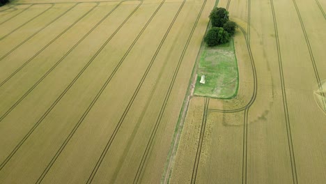 Aerial-view-passing-across-golden-wheat-furrow-farmland-to-reveal-Micheldever-2023-crops-circle,-Hampshire-formation