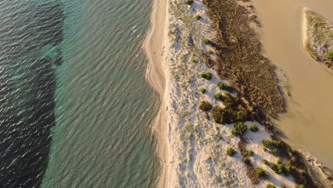 Aerial-overhead-shot-of-paradisiac-long-sand-shore-in-Sardinia,-golden-hour