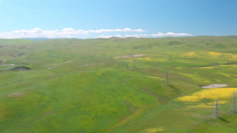 Aerial-view-of-open-landscape-with-undulating-hills-and-blooming-wildflowers