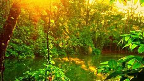 Sonnige,-Entspannende-Tropische-Regenwaldszene-Im-Amazonas-Dschungel