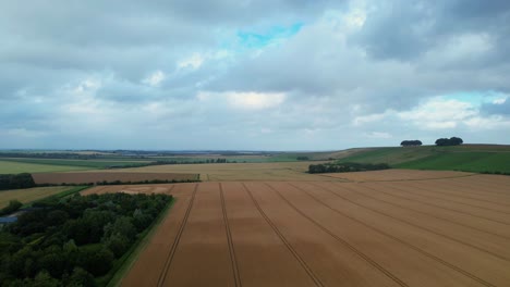 Cut-throat-razor-crop-circle-design-hidden-on-Hackpen-hill-farmland-2023,-rising-aerial-view-over-Swindon-countryside