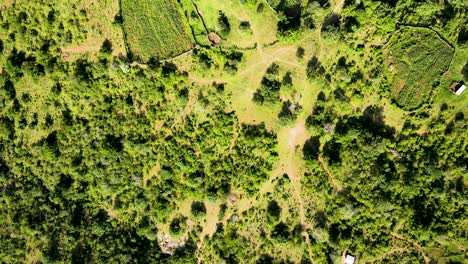 Aerial-drone-view-of-Africa-kenya