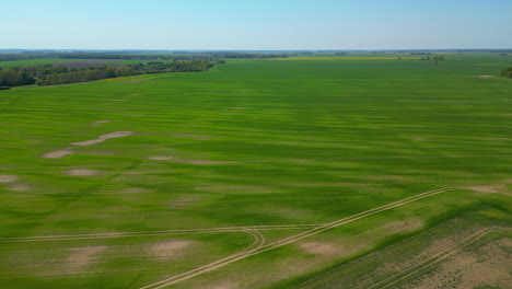 Drone-flying-over-a-farming-community,-open-land-and-a-forest-treeline-in-the-distance