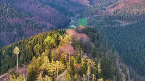 Aerial-View-of-Colorful-Forest,-Hills-and-Valley-in-Alps-During-Spring-Season,-Upper-Austria