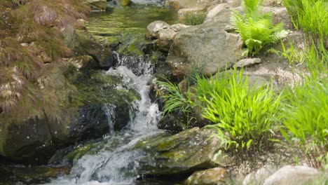 Ein-Miniaturbach-Rollt-Sein-Wasser-über-Die-Felsen-Im-Meditationsgarten