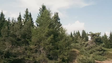 Die-FPV-Drohne-Gleitet-über-Ruhige-Teiche-Und-Baumwipfel-Und-Fesselt-Die-Schönheit-Der-Natur-Von-Oben-Und-Offenbart-Das-Tal-Und-Die-Berge-Im-Hintergrund