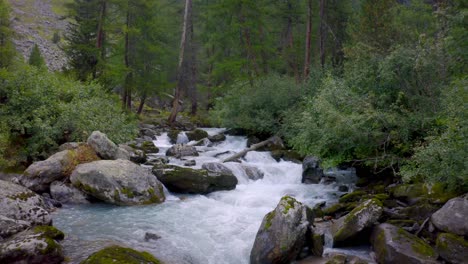 Quiet-fresh-mountain-stream-flows-in-the-middle-of-nature