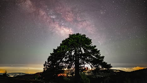 Black-Pine-Tree-Under-Night-Sky-With-Milky-Way-On-Mount-Olympos-In-Cyprus