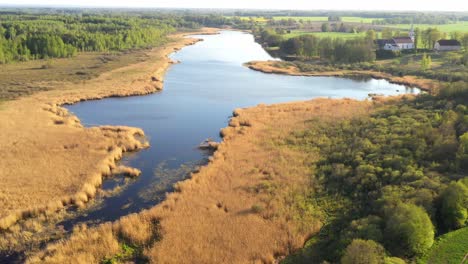 Latvian-lake-and-marsh-on-vibrant-sunny-day,-aerial-view