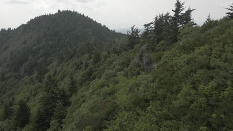 Die-Luftaufnahme-Eines-Bewaldeten-Berghangs-Zeigt-Touristen-An-Einem-Malerischen-Aussichtspunkt