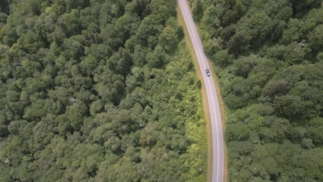 Aerial-looks-straight-down-at-car-on-lush-green-forest-highway-in-NC