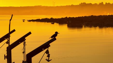 Silhouette-Eines-Eisvogels,-Der-Während-Des-Sonnenuntergangs-Zur-Goldenen-Stunde-Am-Orangefarbenen-Himmel-Am-Rand-Des-Bootes-Thront