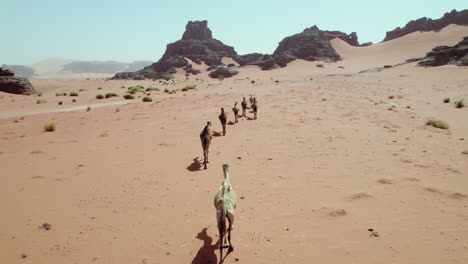 Camels-Running-Across-The-Barren-Deserts-Near-Djanet,-Algeria-In-North-Africa
