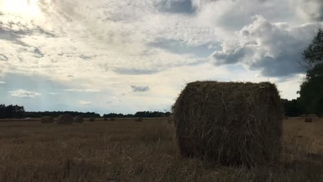 Step-into-the-rural-enchantment-of-straw-bales-under-August-skies