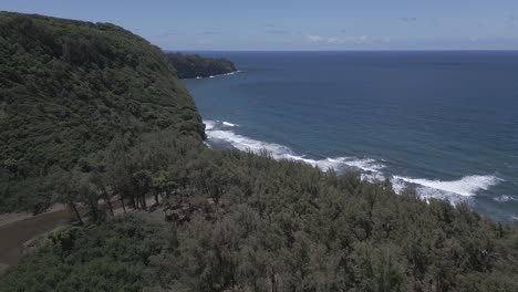 Aerial-descent-to-Pololu-Valley-sea-coast-shoreline-on-Hawaiian-island