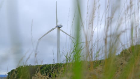Wind-turbine-rotating-through-swaying-grass-on-cloudy-day