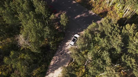 Eine-Drohnen-Vogelperspektive-Eines-Autos-Im-Guardsman-Pass,-Utah,-Durch-Waldbäume