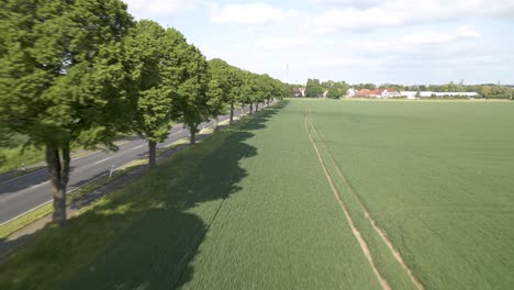 Aerial-shot-alongside-a-rural-road-with-tractor-lines-in-a-meadow-ready-for-harvesting