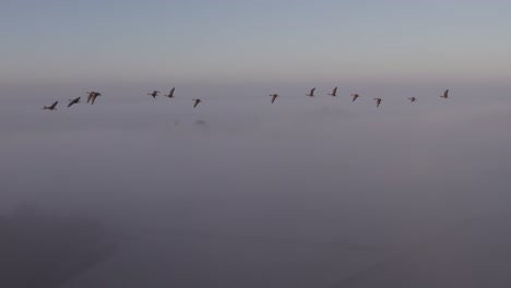 Mañana-Nublada-En-Países-Bajos-Con-Bandada-De-Pájaros-Volando-Por-El-Cielo,-Amanecer