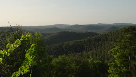 Slow-sweeping-panoramic-shot-of-wild-green-forest-and-mountain-landscape,-Pays-de-Bitche,-France