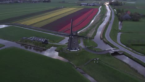 Wide-shot-of-Dutch-windmill-Veenhuizer-Obdam-near-tulip-fields-at-sunrise,-aerial