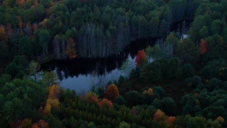 Stunning-aerial-drone-video-footage-of-colorful-autumn-canopy-and-woodland-pond