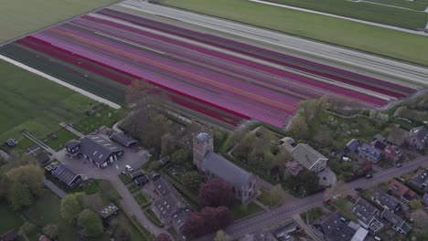 Flying-above-rural-town-Aartswoud-Holland-with-tulip-fields-during-cloudy-day,-aerial