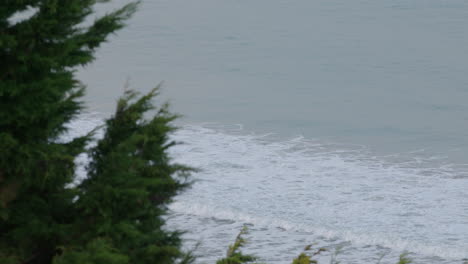 Faszinierende-Wellen-Schlagen-An-Der-Ostküste-Neuseelands-In-Castle-Point