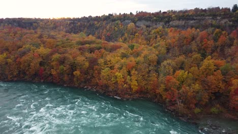 Stunning-aerial-view-of-the-wild-river-and-autumn-forest-in-Niagara-Glen-Nature-Reserve