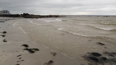 Static-view-of-ladies-beach-with-kelp-washing-ashore-in-gentle-waves,-galway-ireland