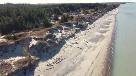 Aerial-flyover-of-inviting-beach,-vast-forest-background
