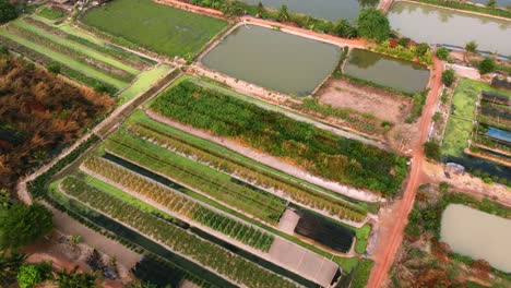 Umweltansicht-Landwirtschaft-Landwirtschaft-Neben-Dem-Fluss