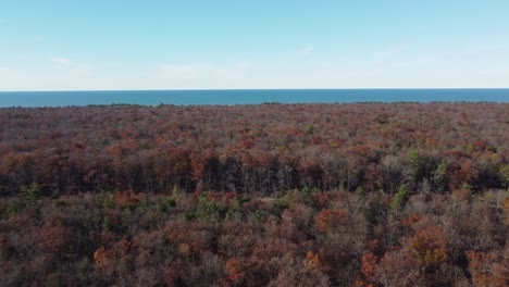 Ruhiger-Wald-In-Leuchtenden-Herbstfarben,-Weite-Meereskulisse-Im-Hintergrund