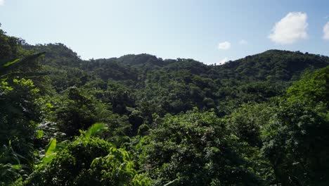 Forested-Jungle-Over-Tropical-Mountains-Near-Baras,-Catanduanes-Province,-Philippines