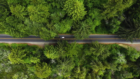 Aerial-view-above-traffic-on-a-straight-forest-road-in-Northwest-USA---Top-down,-drone-shot
