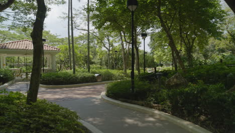Dynamische-Aufnahme,-Die-Sich-In-Einem-Wunderschönen-Grünen-Park-In-Hongkong-Bewegt