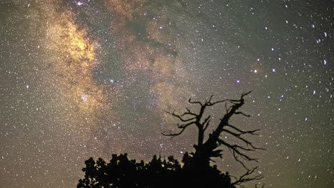 Milky-Way-Timelapse-Over-Nature-Silhouettes.