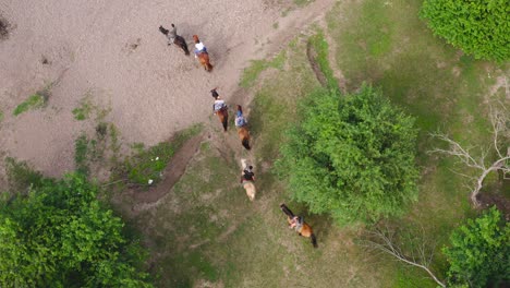 People-on-safari-riding-horses-through-a-forest