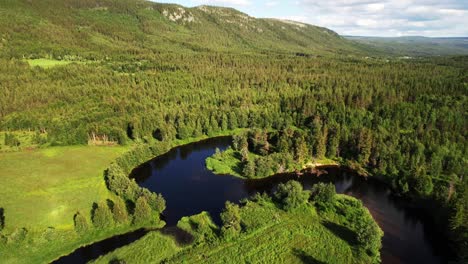 Aerial-View-Of-River-And-Verdant-Forest-In-Summer