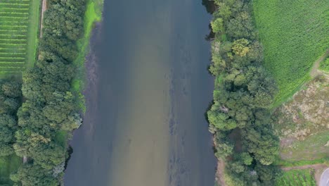 Draufsicht-Auf-Den-Fluss,-Der-Durch-Grüne-Vegetation-Fließt
