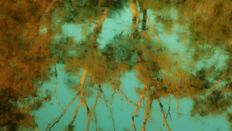 Verschwommene-Baumreflexion-Im-Wasser-Mit-Blaugrünen-Und-Orangefarbenen-Farben