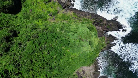 Overhead-View-Breaking-Waves-On-Rugged-Shoreline-In-Tropical-Beach-Of-Baras,-Catanduanes,-Philippines